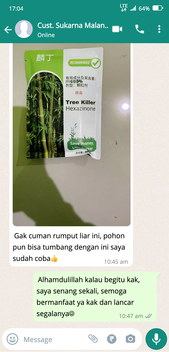 whatsapp_chat-1-1.png