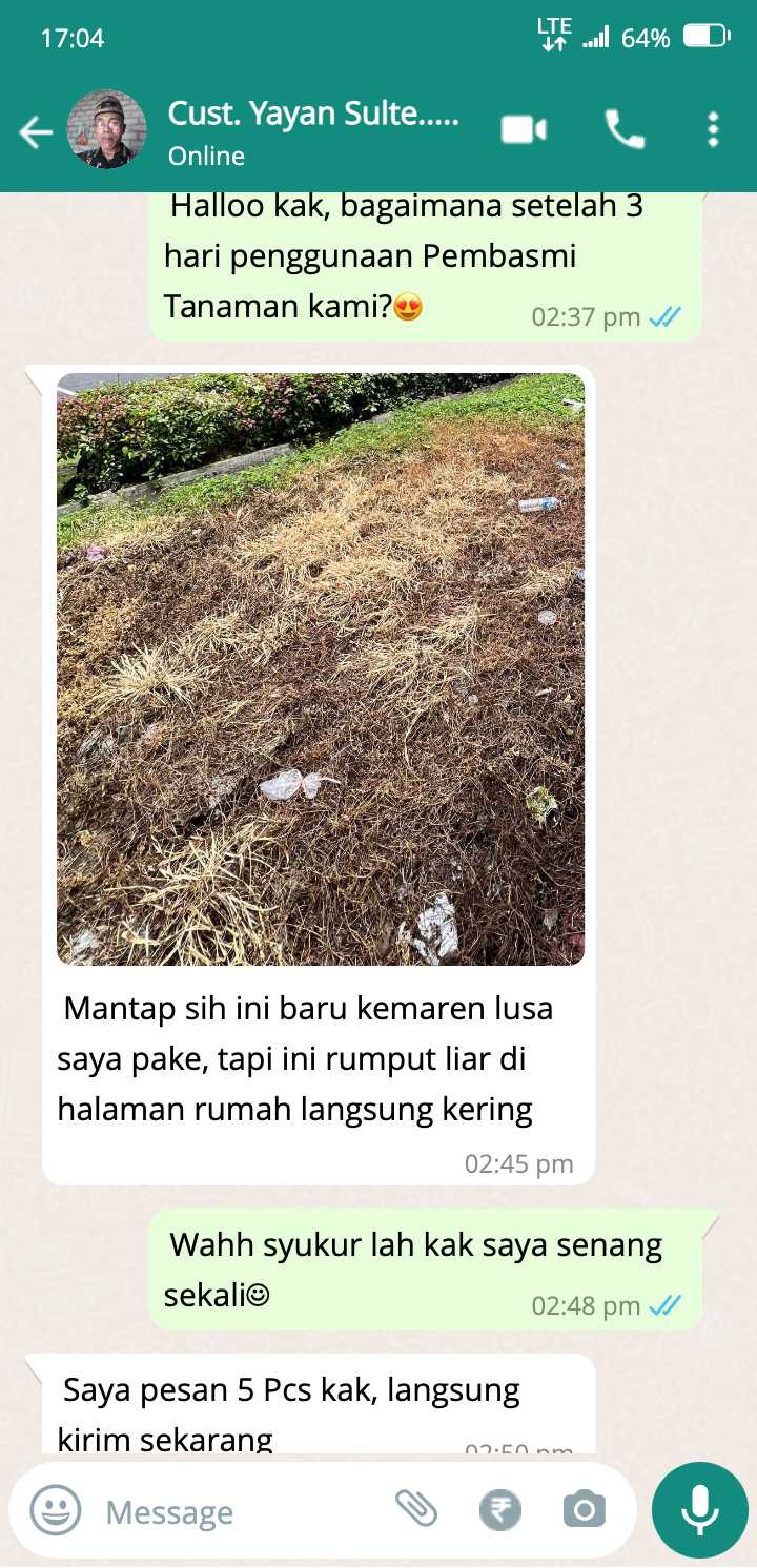 whatsapp_chat-3.png